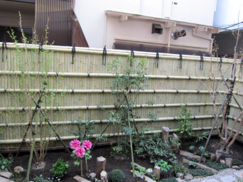 木組みの家「高円寺の家」庭